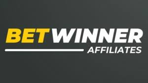 Everything You Need to Know About JetX Login 3